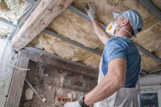 Best Residential Insulation in San Rafael, NM