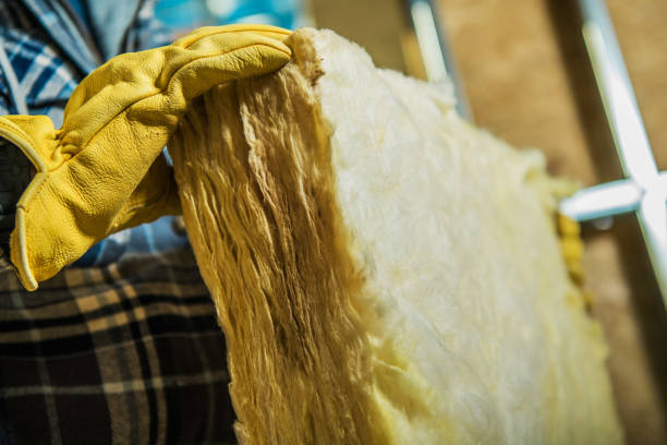 Best Specialized Insulation Services in San Rafael, NM